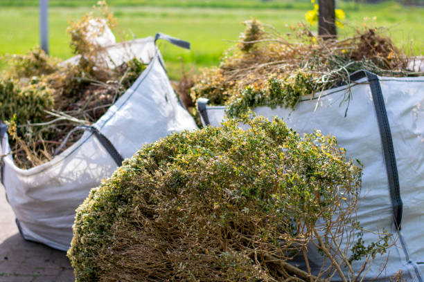 Best Commercial Junk Removal  in Holiday Island, AR